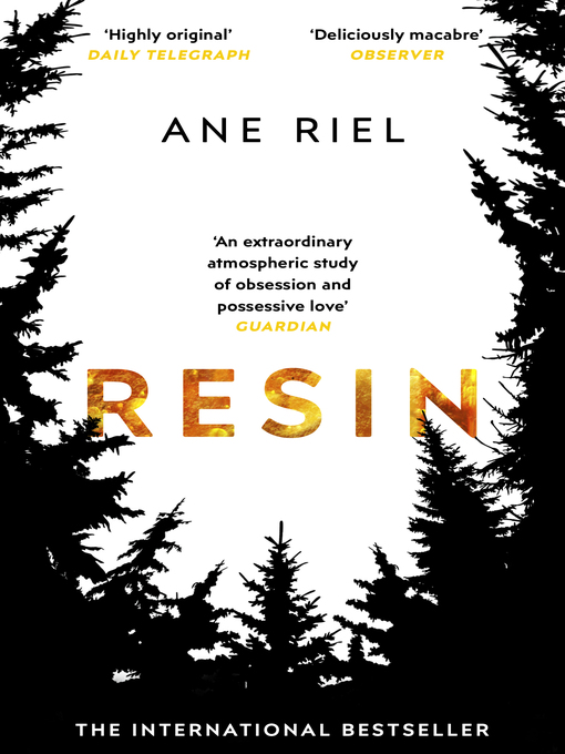 Cover image for Resin